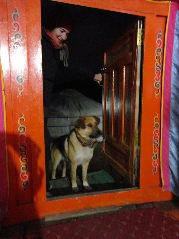 Dog in a Doorway Ger addition