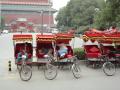 Rickshaw Siesta