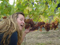 Fooling around in the Vineyard