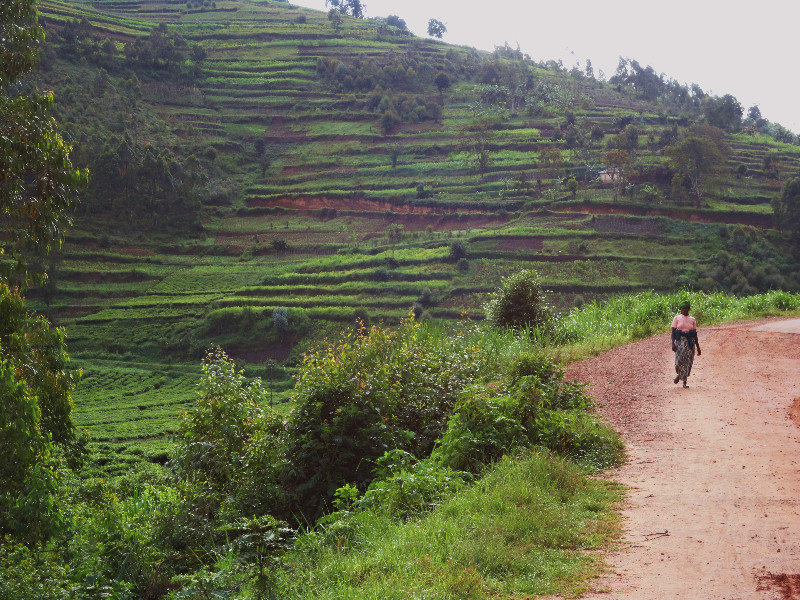 The Hills of Rwanda