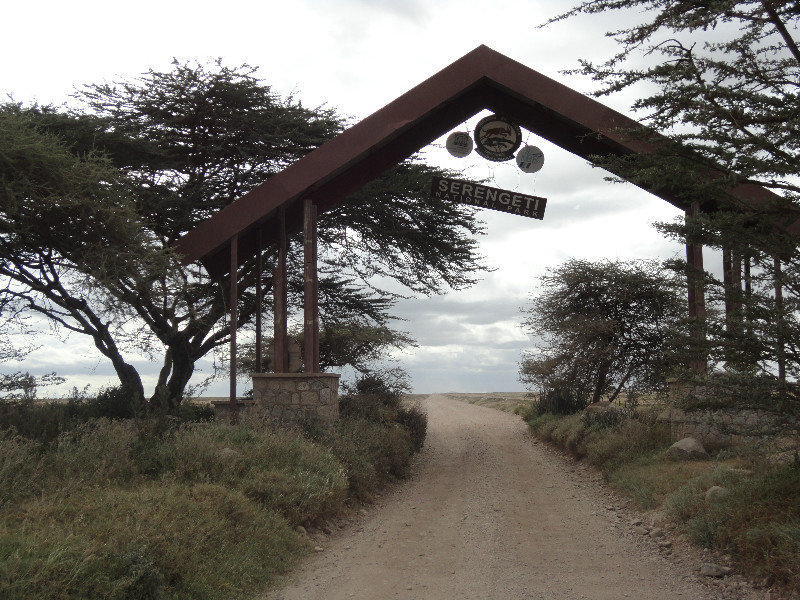 Welcome to the Serengeti