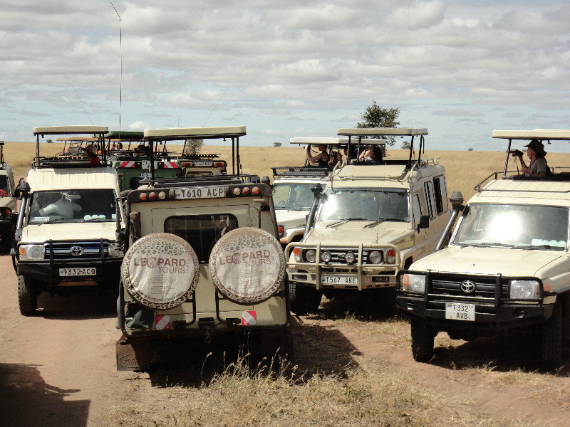Traffic jam on the Serengeti