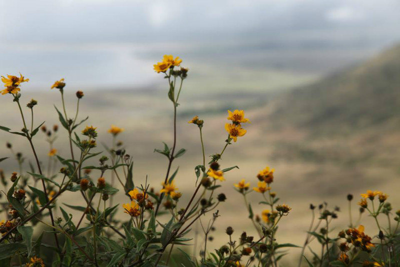 Springtime Ngorongoro