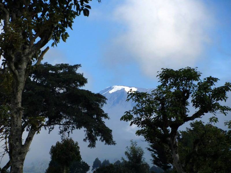 Spectacular Kilimanjaro 