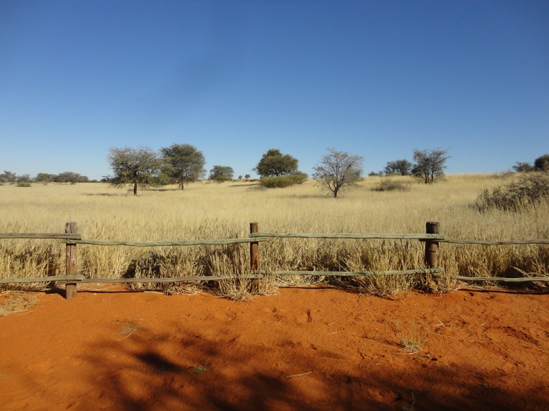 Kampsite in the Kalahari