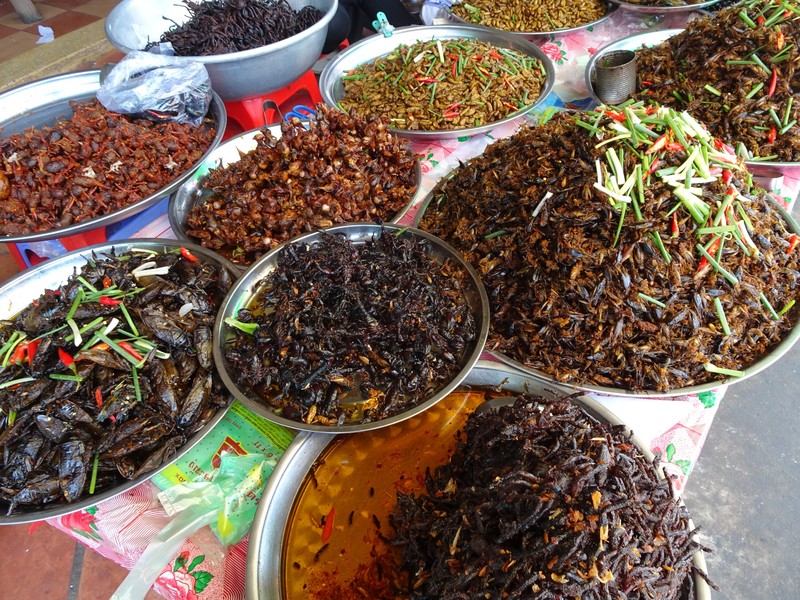 Flavourful Insects