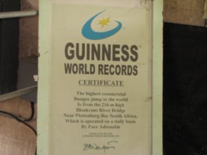 World Record Bungee