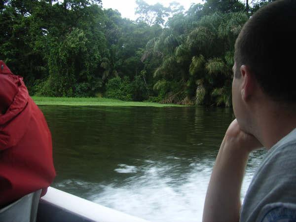 The canals along the way to tortuguero