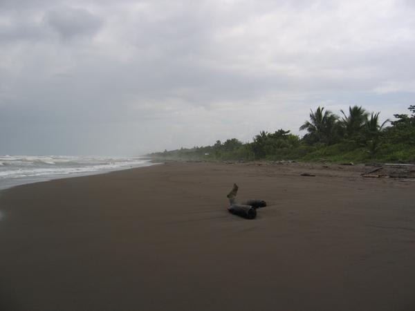 The beach at Tortuguero.