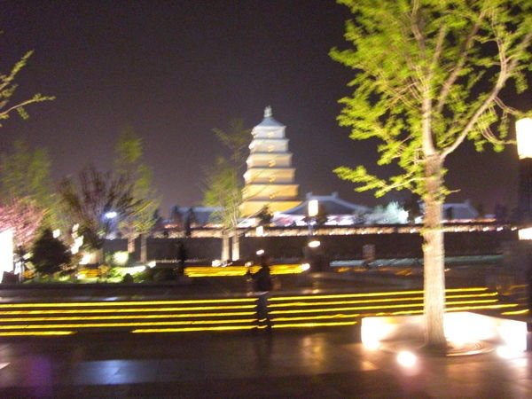 Goose Pagoda at Night