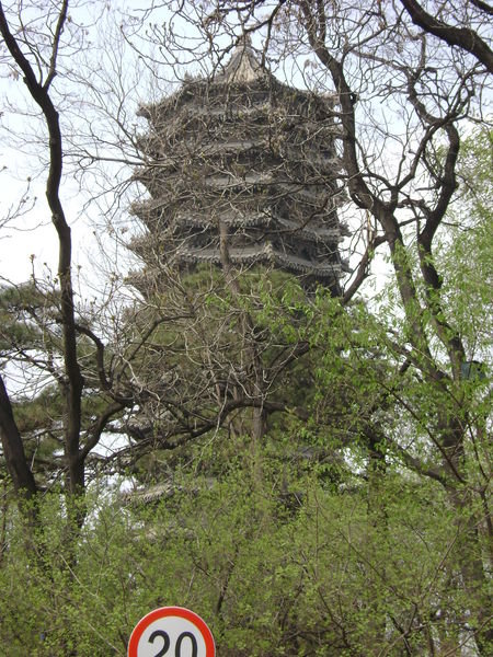 The Famous Pagoda