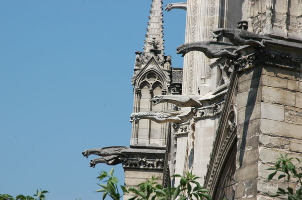Notre-Dame, with its classic flying buttresses