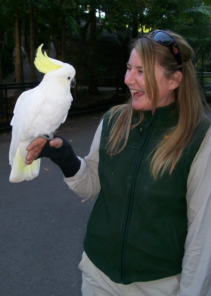 Cockatoo and handler