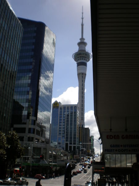 Sky tower from Queens St