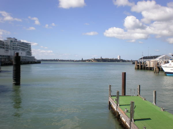 View accross the habour to North Auckland where Podger works