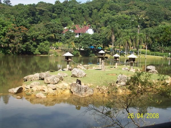 The monkey island in the zoobotanical garden