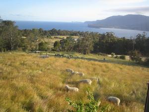 Uitzicht Tasman peninsula B&B
