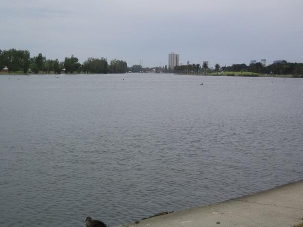 Albert Park Lake