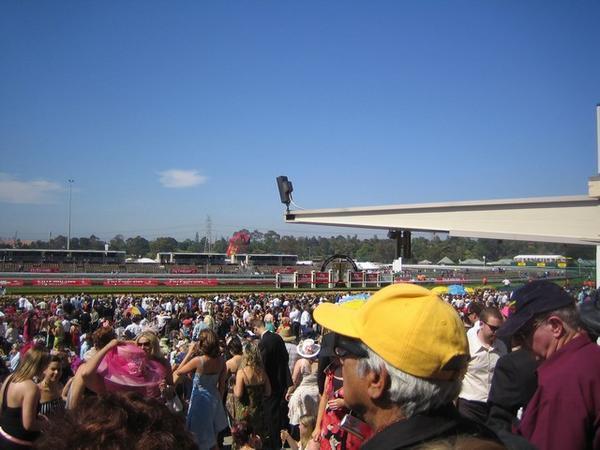 Flemington race track