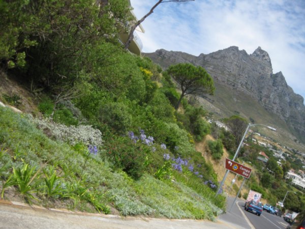 Camps Bay