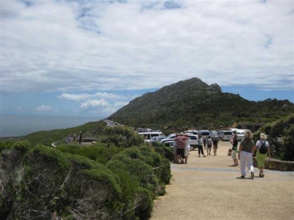 Cape Nature Reserve