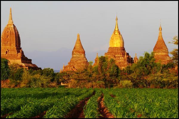 Bagan in the early morning