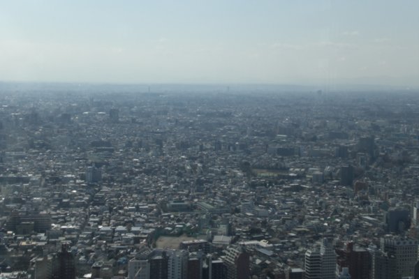And More Tokyo...