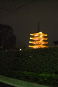 Pagoda at Night