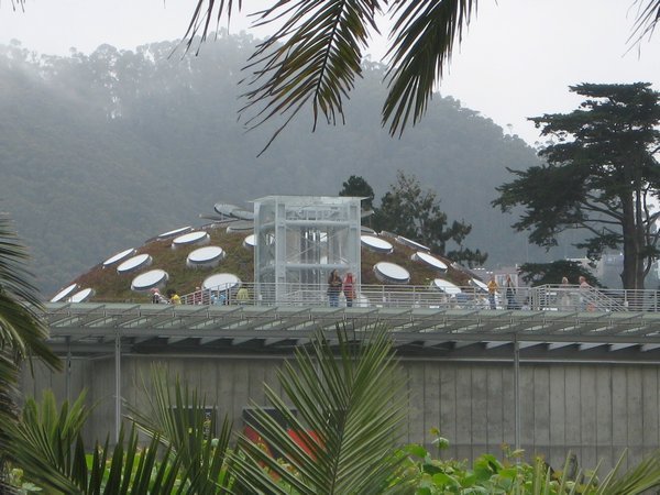 Green Roof of CA Academy of Sciences