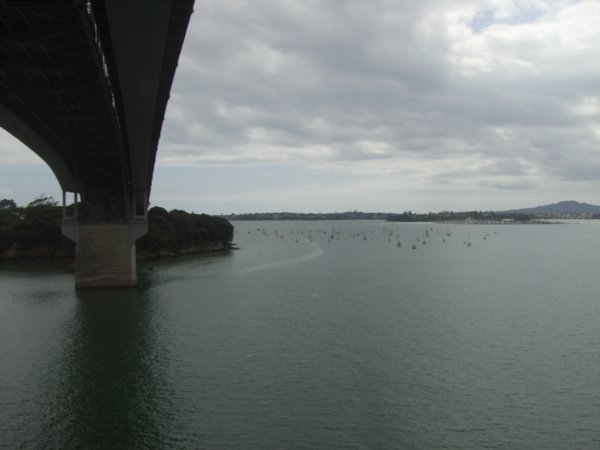 View from under harbour bridge