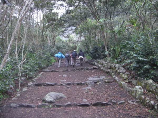 Inca path way (start of 4th day)