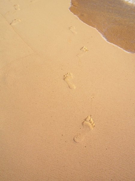 Footprints in the sand of time
