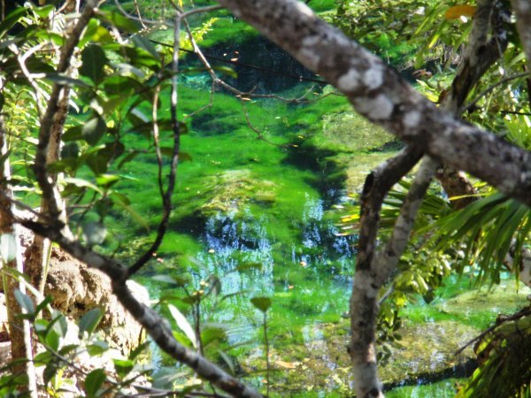 Green water