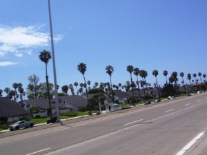 L.A. roads