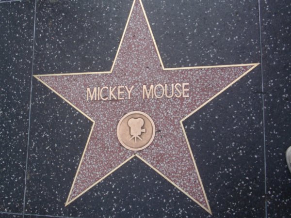 Micky Mouse Stern!
