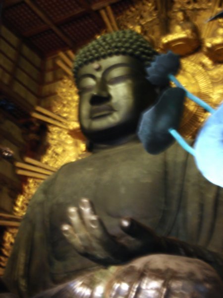 Largest bronze buddha