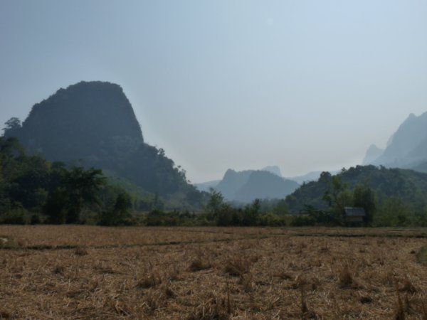 Dormant rice paddies with the local backdrop