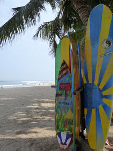 Boards on Bali