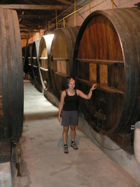 Old wine barrels in the wine museum