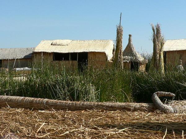 Houses made of reed