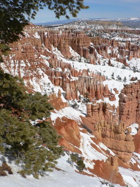 Bryce Canyon and oddly shaped  hoodoos  