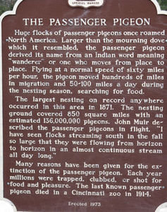 Plaque about passenger pidgeons!