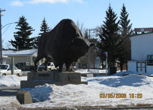 This big guy is right at the head of Main Street in Wainwright!