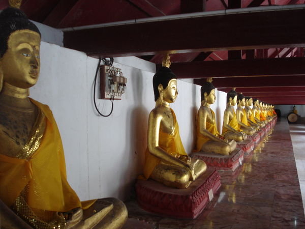 many buddhas