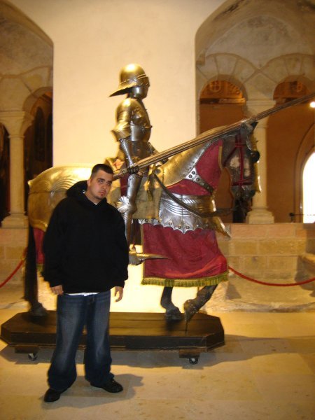 My Brother and a Knight