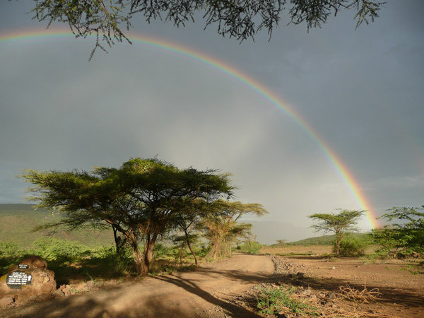 Rainbow over Bogoria