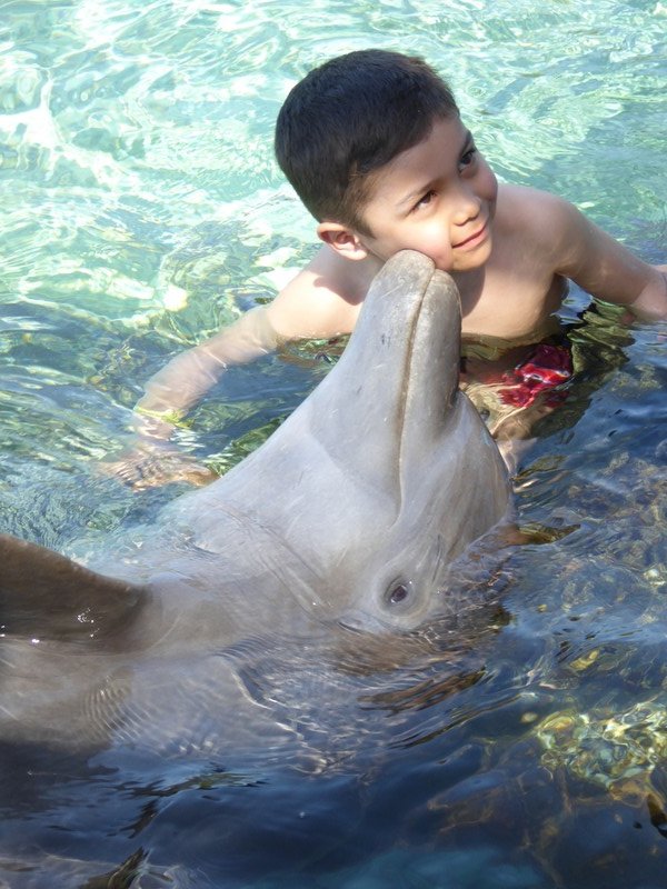 A dolphin kiss
