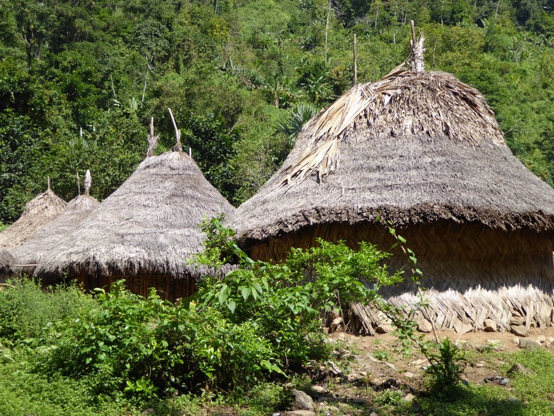 Kogi village