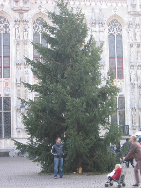 Me and the Christmas Tree