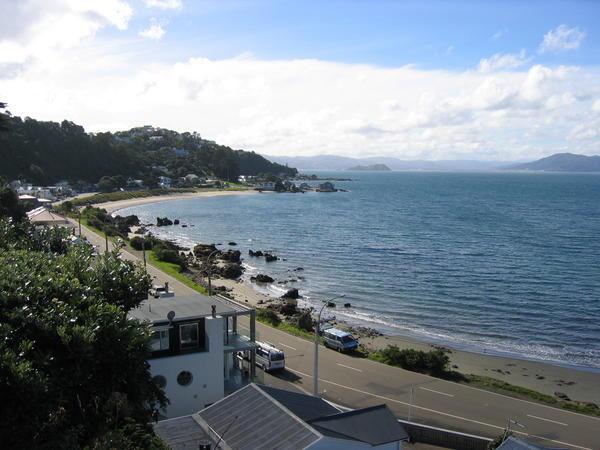 View from Daves house in Seatoun